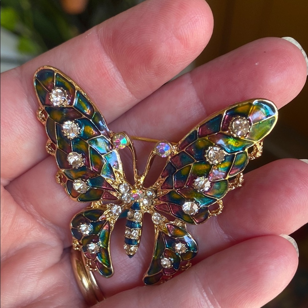 Colorful Butterfly Brooch - Picture 8 of 10